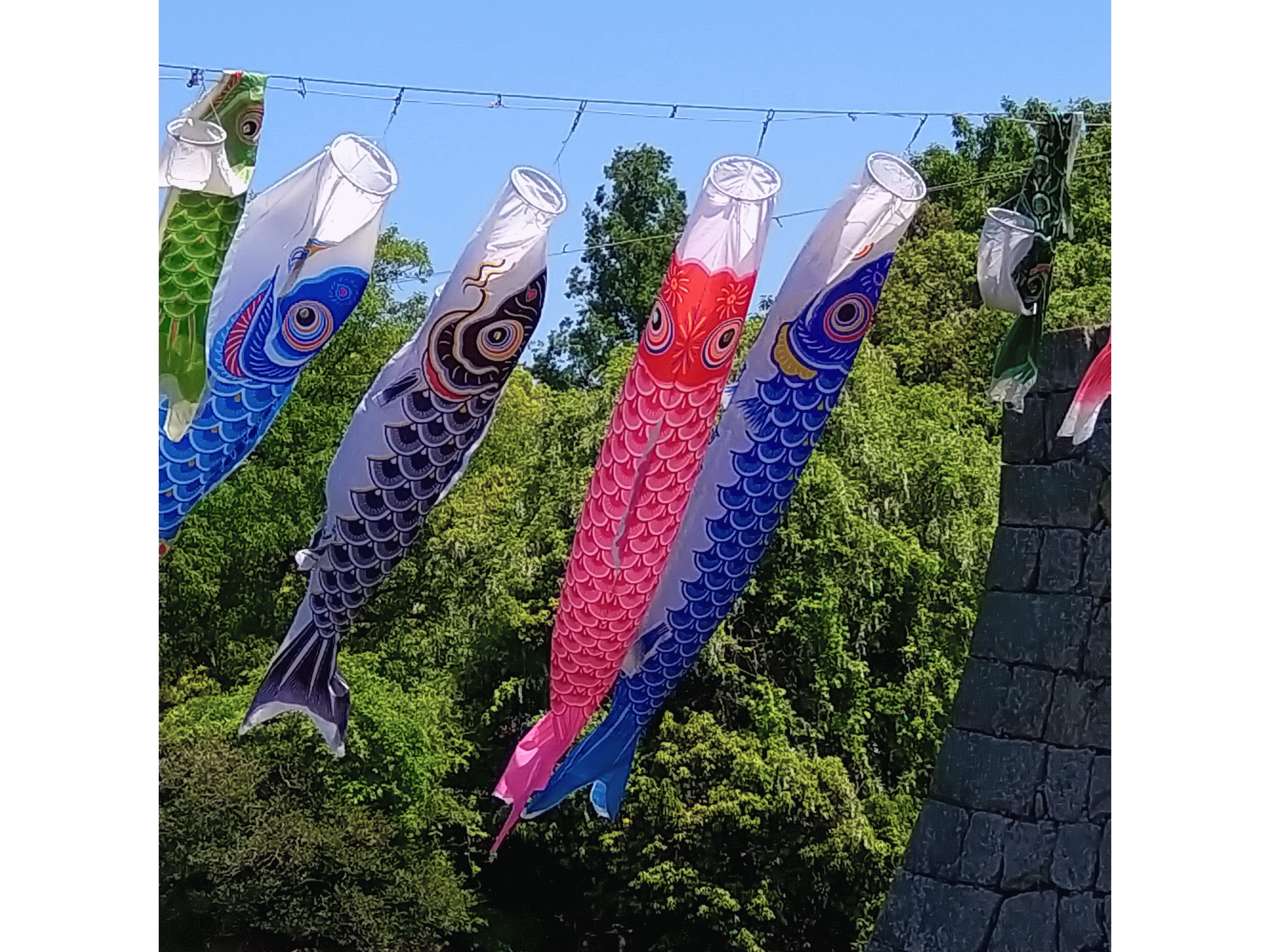 新緑の季節です 株式会社メック